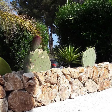 Amenta Hébergement de vacances